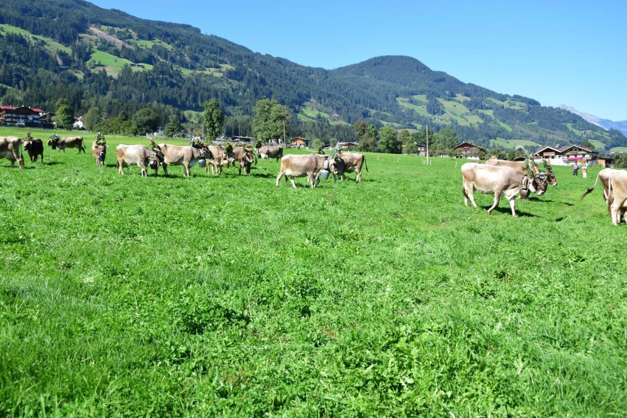 Ferienhaus Oberhuben Fuegenberg Ngoại thất bức ảnh